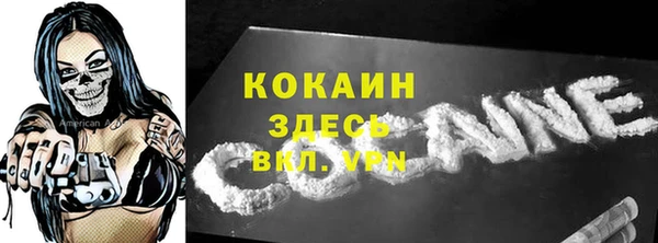 ПСИЛОЦИБИНОВЫЕ ГРИБЫ Кадников