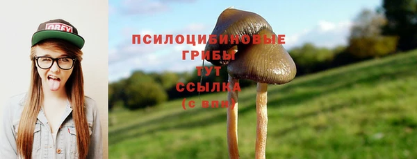 прущая мука Тавда