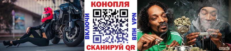 Бошки Шишки ГИДРОПОН Заозёрный